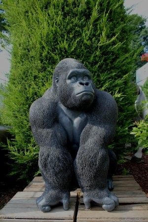 Gorilla Silberrücken groß